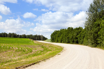 Wall Mural - country road.