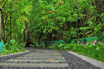 Sticker - Alley in beautiful tropical garden