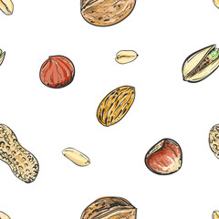 Wall Mural - Hand drawn color vector seamless pattern of walnuts, hazelnuts, pistachios, peanuts. sketch. Vector eps 8.