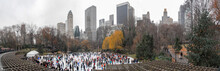 Wollman Rink - Central Park