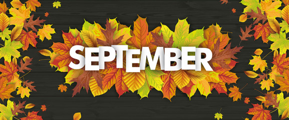 Wall Mural - autumn foliage centre september wood