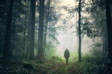 Man Walking Alone In Magical Dark Green Colored Foggy Wild Forest Landscape.