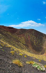 Wall Mural - Etna volcano view, Sicily, Italy