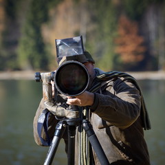 Wall Mural - wildlife photographer outdoor in action