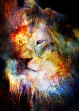 Lion In The Cosmic Space. Lion Photos And Graphic Effect.