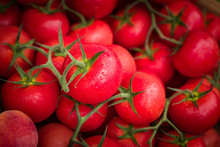 Ripe Red Tomatoes At A Famers Market