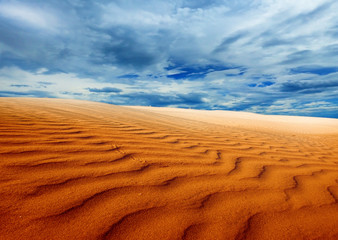 Canvas Print - sand desert landscape