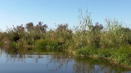 Sticker - sailing through the channels of the okavango delta in botswana