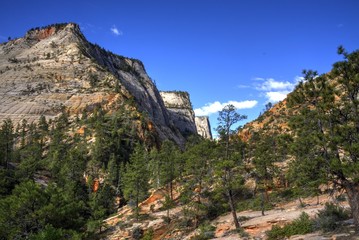 Sandstone Cliffs in the East Zion Wilderness