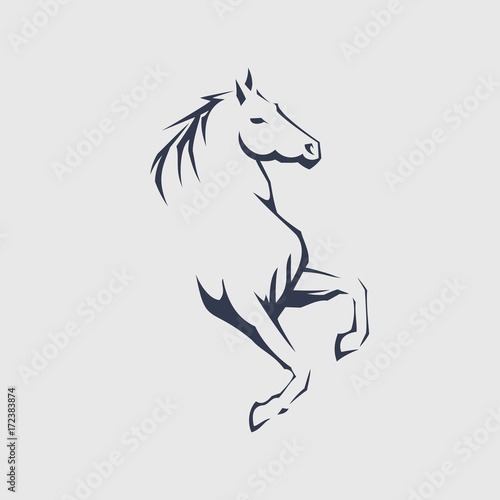 Horse vector illustration © armo