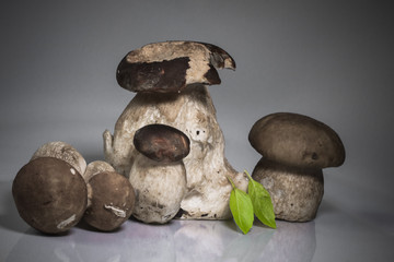 fresh healthy happy family of mushrooms cep porcini boletus edulis with basil herb isolated and highlighted on grey background with copy space graphic design pack shot 