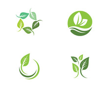 Tree Leaf Ecology Nature Vector Icon