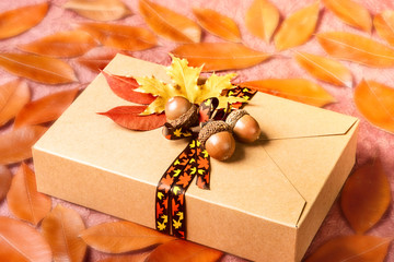 Wall Mural - Autumn gift box on the colorful leaves background