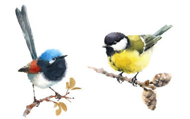 Fairy Wren and Tit Two Birds Watercolor Hand Painted Illustration Set isolated on white background