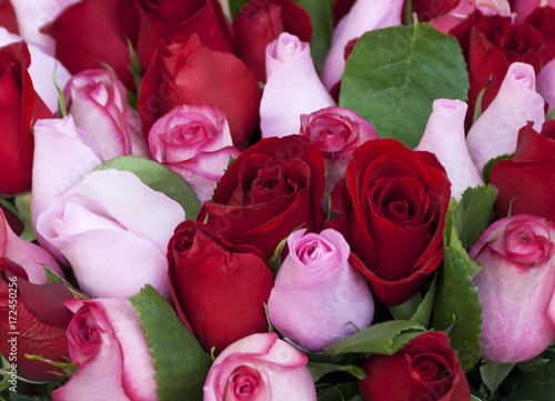 roze-w-makrofotografii-z-zielonymi-listkami