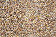 Corn grains background. Dried corn as a background. Top view 