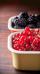 Berries closeup mix of red currant and blackberries in studio in two ceramic jars on wooden table