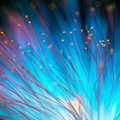 abstract blurred blue light and flower natural background.