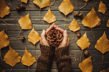 Top View Woman Holding A Cone On Hands. Wooden Table With Ash Leaves And Acorn.Vintage Toned Photo.Autumn Mood Concept