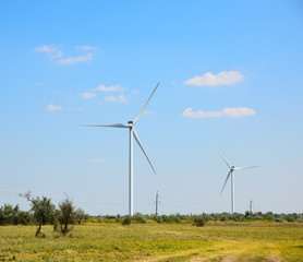 windmills in the field