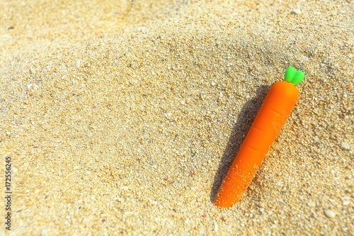 a little carrot Tableau sur Toile