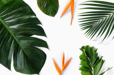 Wall Mural - different tropical leaf, beautiful green leave set on white background