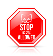 Stop No Cats Allowed Permission Sign Isolated On White Background