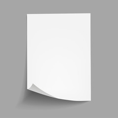 Wall Mural - Vector White sheet of paper. Realistic empty paper note template of A4 format with soft shadows isolated on grey background.