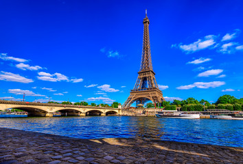 Wall Mural - paris eiffel tower and river seine in paris, france. eiffel tower is one of the most iconic landmark