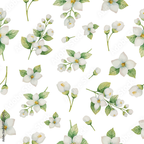 Watercolor vector seamless pattern of flowers and branches Jasmine isolated on a white background Tableau sur Toile