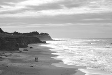 Black And White Beach Free Stock Photo - Public Domain Pictures