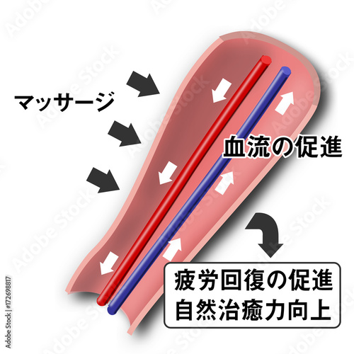 マッサージ効果イメージイラスト Stock Illustration Adobe Stock マッサージ効果イメージイラスト Stock Illustration Adobe Stock
