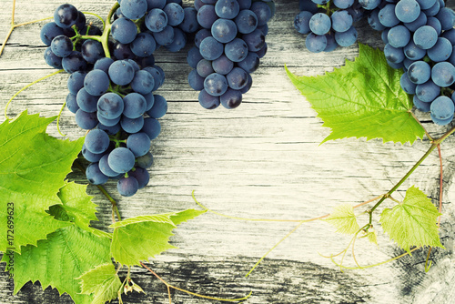 Plakat Winogrona  niebieskie-winogrona-i-jasne-liscie-winogron-na-starej-powierzchni-drewnianej-zblizenie-widok-z-gory-tlo