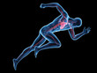 © Sebastian Kaulitzki - medically accurate 3d rendering of a sprinter