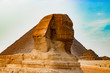 The sphinx in Cairo, Egypt