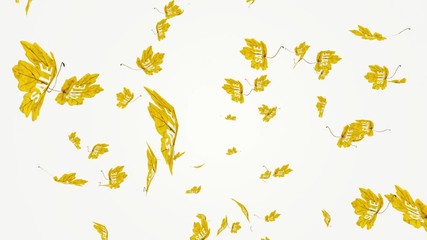 Wall Mural - flying yellow maple leaves with sale writing. autumn, fall business concept. isolated elements on wh