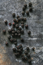 Just Picked Blackberries On Metal Background
