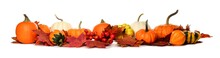 Long Border Of Pumpkins, Gourds And Red Fall Leaves Isolated On A White Background