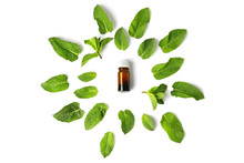 Bottle Of Essential Oil And Mint Leaves On White Background
