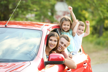 Wall Mural - Happy family in car