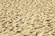Sand texture on the beach 