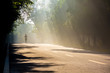 © Maa Hoo/Stocksy - Man running in the morning