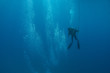  A scuba diver heads toward the surface after a dive.