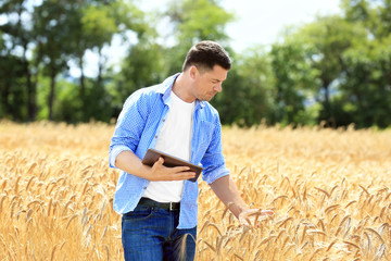 Wall Mural - Agronomist using tablet in wheat field