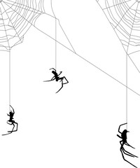 Wall Mural - large three spiders in web on white