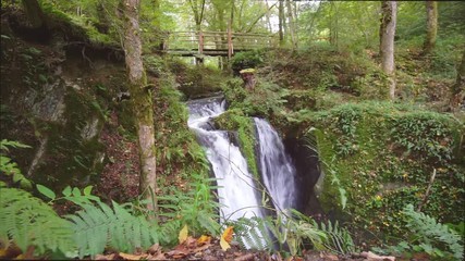 Poster - Kristallwasser in der Eifel: Die Rausch an der wilden Endert