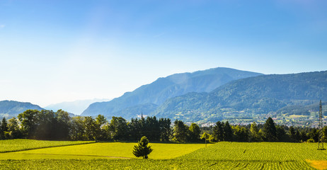 Fototapete - Summer panorama of Alps mountains