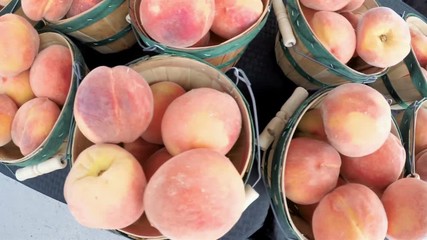 Wall Mural - Slow motion. POV point of view - Organic peaches at the local Farmer's Market