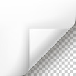 © hobbitfoot - Page curl with shadow on blank sheet of paper. White paper sticker. Element for advertising and promotional message isolated on transparent background. template design element, Vector illustration