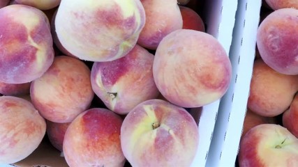 Wall Mural - Slow motion. POV point of view - Organic peaches at the local Farmer's Market